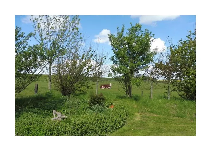 Hus An Diek Hillgroven